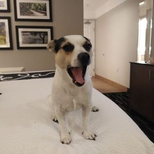 Meet your Posher, Tami